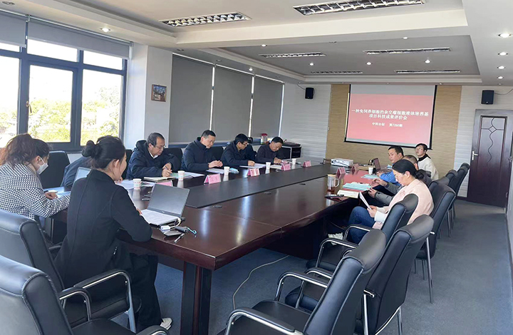 一种免饲养细胞的杂交瘤细胞液体培养基 anli
