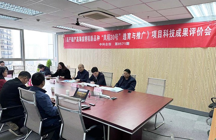 高产稳产高海拔粳稻新品种“凤稻30号”选育与推广 anli