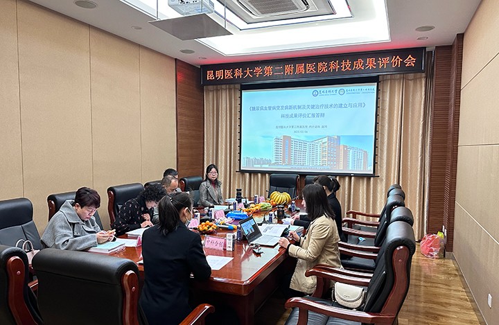 糖尿病血管病变发病新机制及关键治疗技术的建立与应用 anli