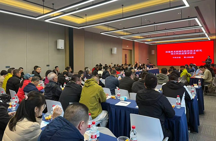 柑橘黄龙病绿色防控技术研究 anli