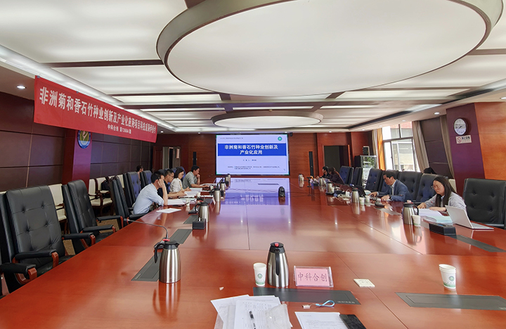 非洲菊和香石竹种业创新及产业化应用 anli