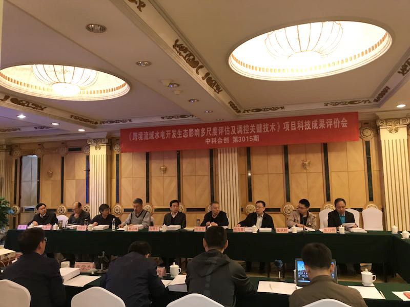 跨境亮.jpg